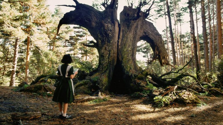 Il labirinto del fauno