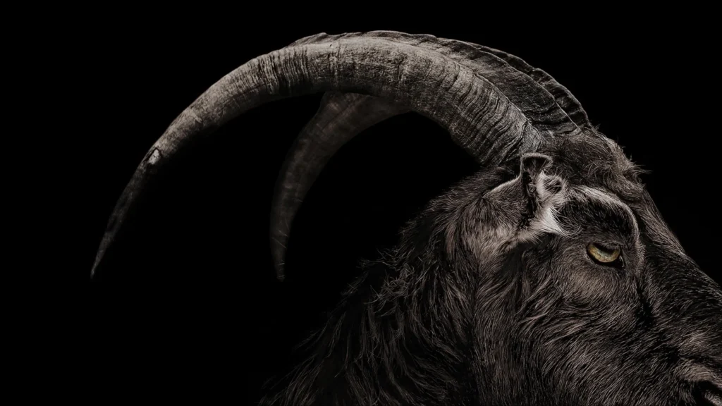The Witch | foto 5